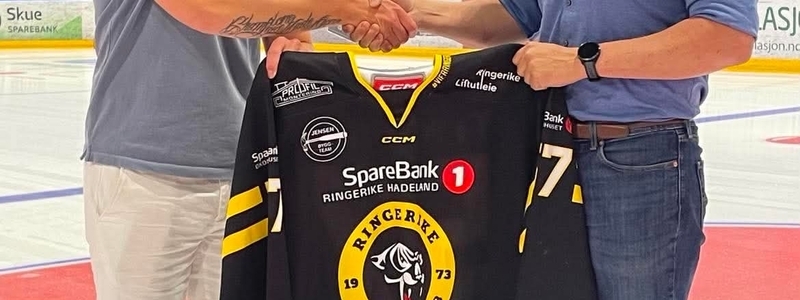 Ringerike Panthers